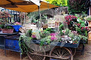 Flower cart