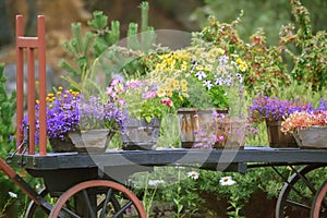 Flower cart wagon