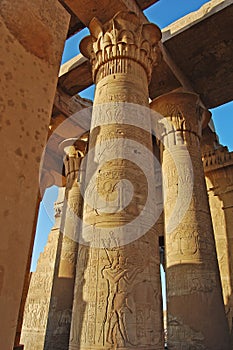 Flower Carvings at the Temple of Karnak