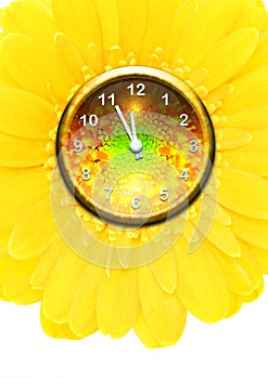 Flower clock