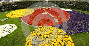 Flower clock