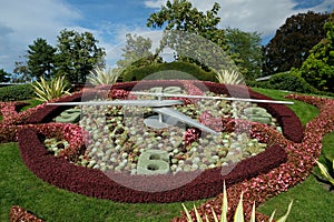 Flower clock in geneva