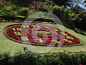Flower clock located in ViÃÂ±a del Mar in Chile photo