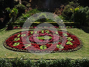 Flower clock located in ViÃÂ±a del Mar in Chile photo