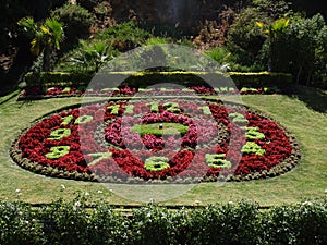 Flower clock located in ViÃÂ±a del Mar in Chile photo