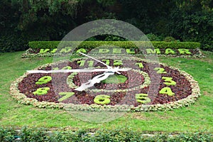 Flower Clock