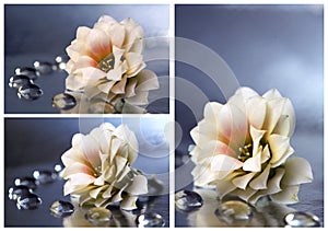 Flower collage