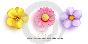 Flower colorful decoration, realistic collections design isolated on white background