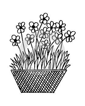 Flower coloring page design,easy coloring page design, flower doodle , flower line art design, flower doodle.