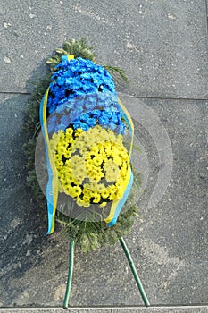 Flower colors of Ukrainian national flag