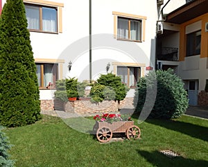 Flower composicion bouquets of blossoming flowers, plants, textures