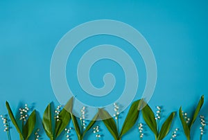 Border of flowers and green leaves of the may lily of the valley Convallaria majalis on a light blue background.