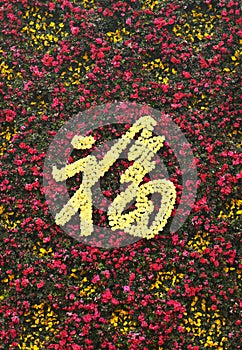 Flower composition chinese characters