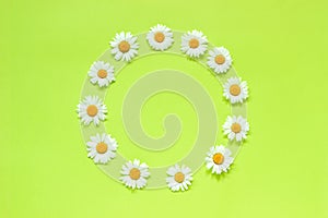 Flower composition. Frame floral round wreath of flowers chamomile. Flat lay Crearive top view. Top-down composition. Copy space