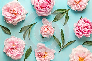 Flower composition. Pattern made of pink peony flowers with green leaves on blue wooden background. Flat lay