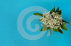 Spring bouquet of flowers and green leaves of the may Lily of the valley Convallaria majalis on a light blue background.