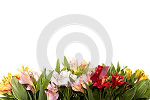 Flower composition on white background with copyspace