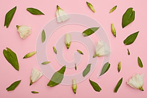 Flower composition of white eustoma on pink flatlay
