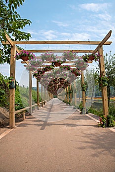 The flower corridor of the world garden in Banan, Chongqing