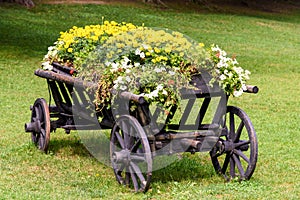 Flower Country Waggon On Grass