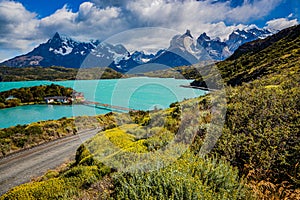 Flower covered hillsides below the dramatic mountains of Torres Del Paine National Park photo