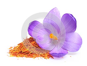 Flower crocus and dried saffron spice