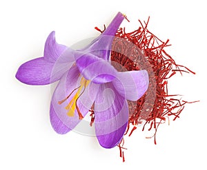Flower crocus and dried saffron spice