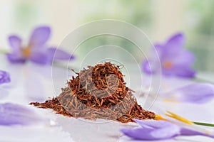 Flower crocus and dried saffron spice on white background.