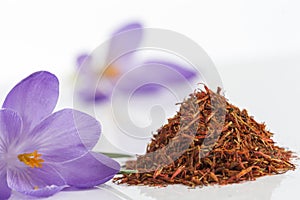 Flower crocus and dried saffron spice on white background.