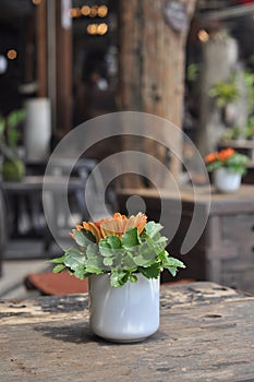 Flower Cup Table Decoration