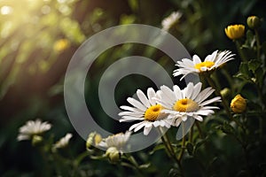 Flower with cutout daisy in a spring concept. ai generative