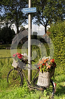 Flower decorated bike