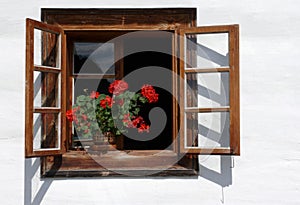 Flower decorated rural window