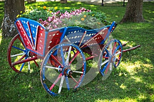 Flower decoration in the garden and wooden wagon photo