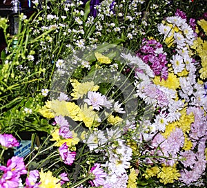 This is a photo of a colorful flower arrangement photo