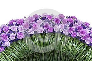 Flower decoraton photo