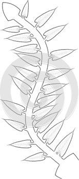 Flower design texture graphic sketch white color background photo