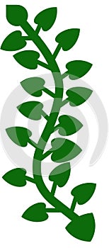 Green flower design texture graphic sketch white color background photo