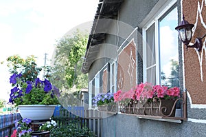 Flower designing for windows or terrace