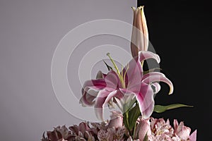 Flower details of a pink flower arrangement. Set of pink flowers and details.