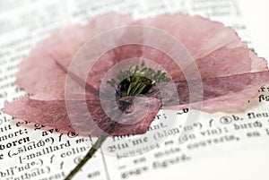 Flower on dictionary