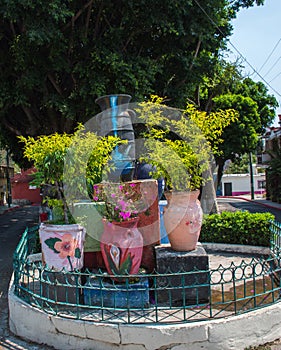 Flower Display on Streetside in Cuernavaca, Mexico