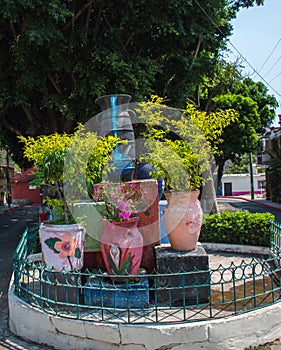Flower Display on Streetside in Cuernavaca, Mexico photo