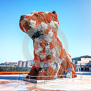 Flower Dog in Bilbao, Basque Country