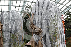Flower Dome photo