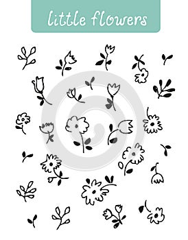 Flower doodle pattern, vector hand drawn floral illustration