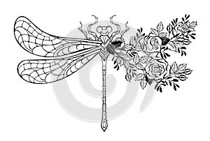 Flower dragonfly with contour rose