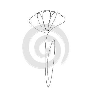 Flower drawing on white backgriund, vector