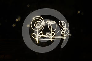 Flower drawings with long exposure.