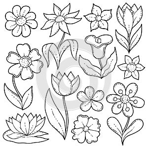 Flower drawings thematic set 1